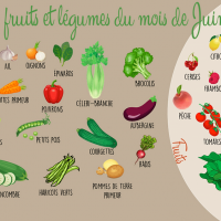 Quels sont les fruits et légumes de juin ?